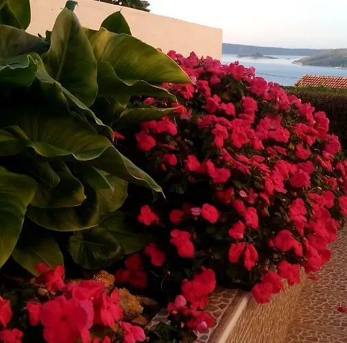 Blue Lagoon Διαμέρισμα *