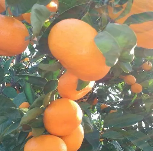 Blue Lagoon * Trogir